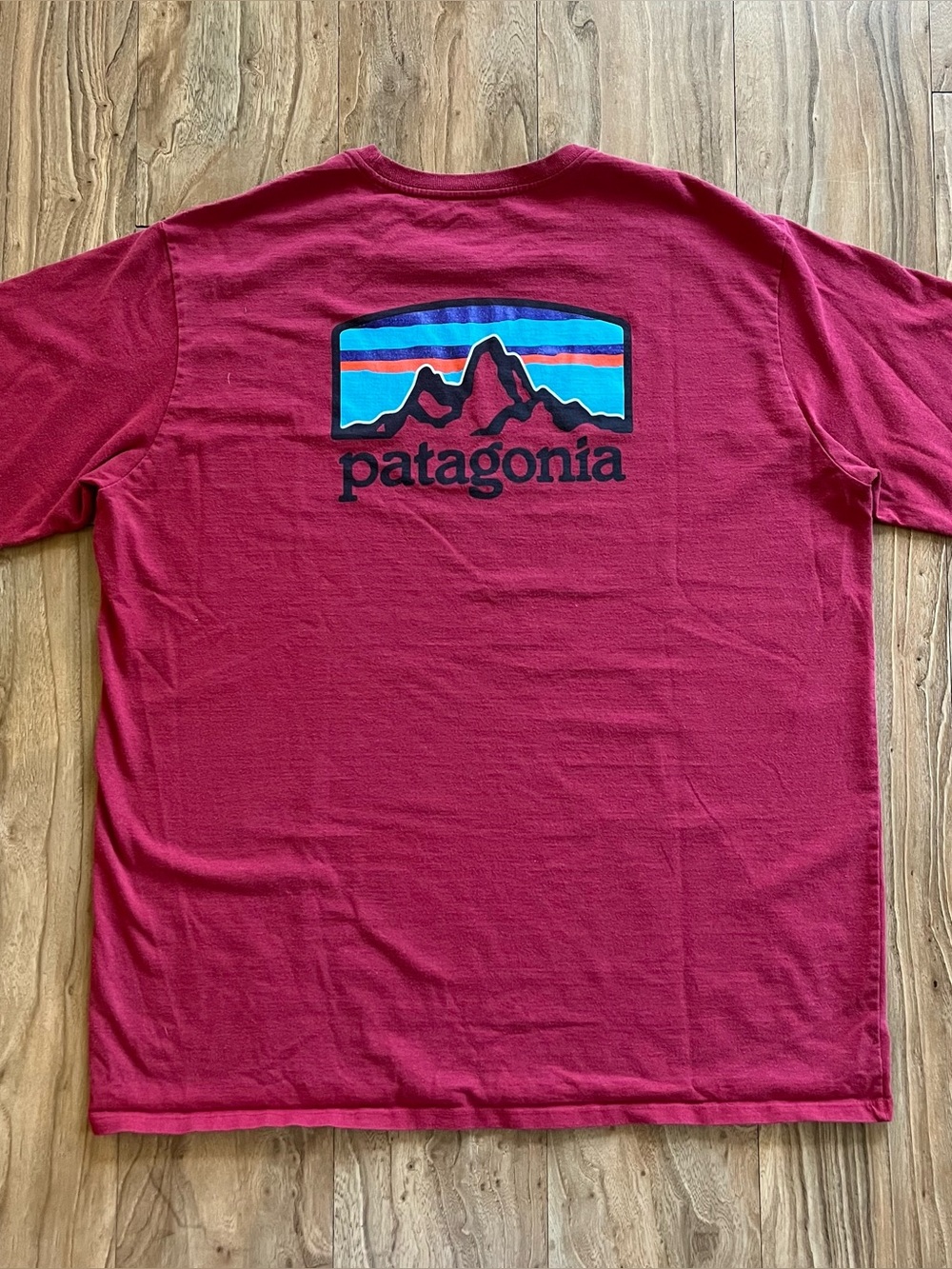 Patagonia graphic t-shirt